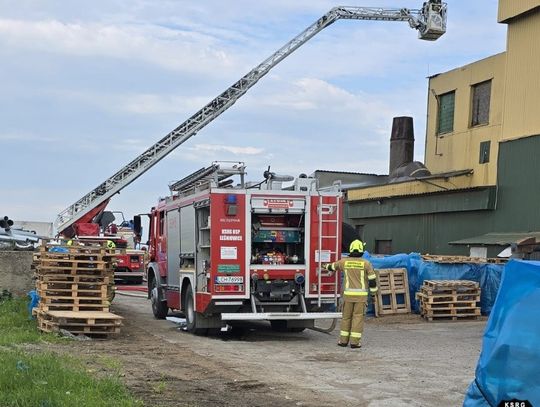 Ogień w fabryce w Sielcu. Zapalił się pył w zakładzie produkującym pellet