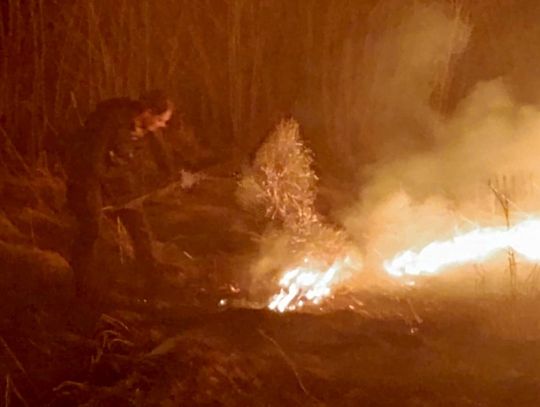 Ogień wybuchł w nocy za garażami. Policjanci z Rejowca Fabrycznego chwycili za łopaty i gaśnicę