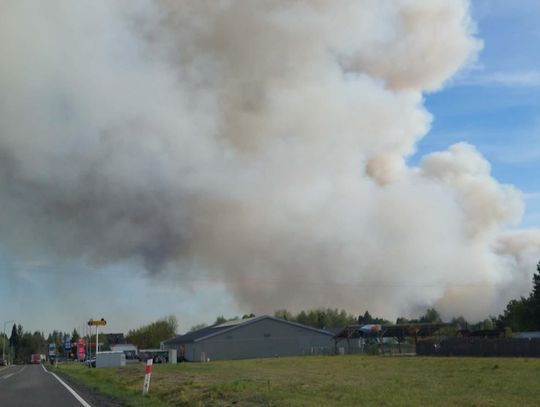 Lubelskie. Ogromny pożar lasu! 200 strażaków walczy z żywiołem [ZDJĘCIA]