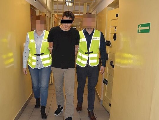 Okaleczył psy nożem, został zatrzymany