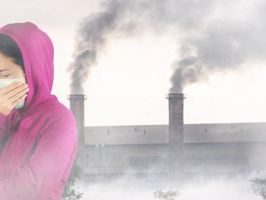 Oszustwo na... Czyste Powietrze. Naciągacze zastawiają na nas pułapki