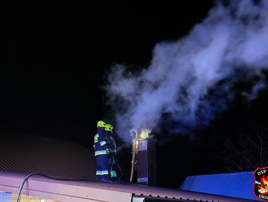 Paliło się w kotłowni i w kominach. Strażacy nie próżnowali Paliło się w kotłowni i w kominach. Strażacy nie próżnowali