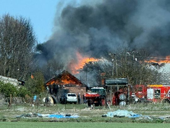 Lubelskie. Piekło w Husynnem zaczęło się od wypalania traw, zagrożone były już zabudowania [ZDJĘCIA]