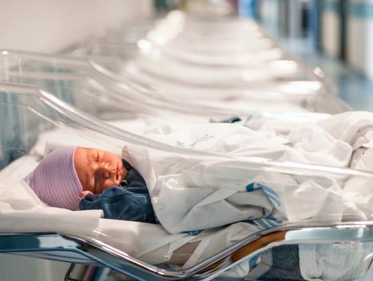 Pieniądze nie zwiększą liczby urodzeń. Trzeba  się otworzyć na inne rozwiązania