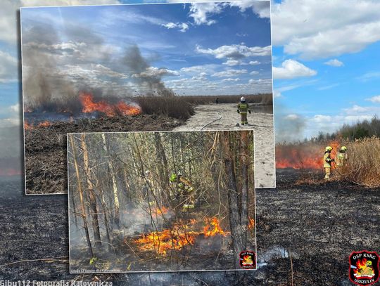 zdjęcia z akcji strażaków nad jeziorem Uściwierz