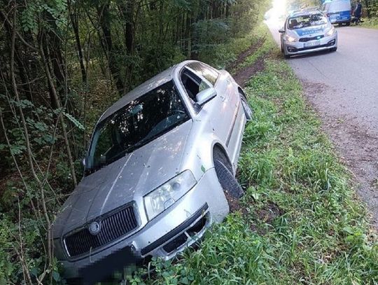 Po pijaku i bez uprawnień. W ustaleniu faktów pomógł pies