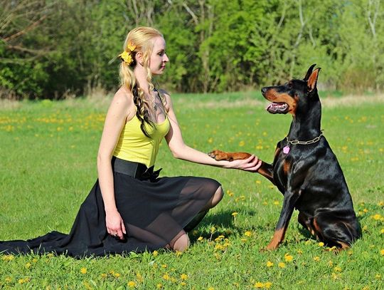 Podaj łapę... zwierzakom ze schroniska