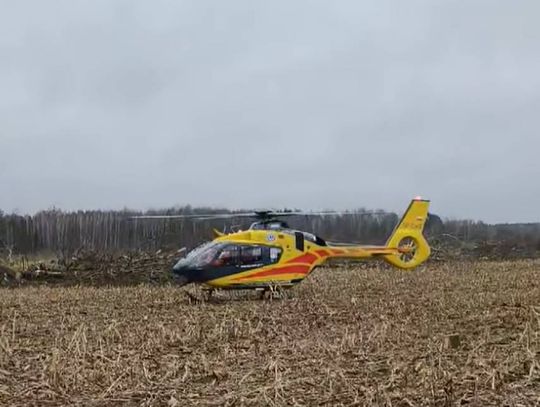 Podczas wycinki upadające drzewo uderzyło mężczyznę. Zabrany do szpitala śmigłowcem LPR [FILM]