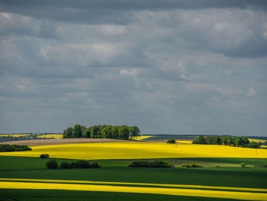 Połączenie kolejowe Chełm-Włodawa dostępne po raz ostatni!