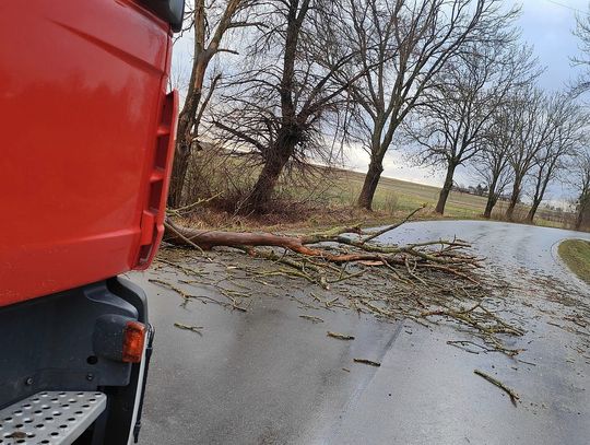 Połamane drzewa, uszkodzone dachy. Kolejny dzień wichur w naszym regionie