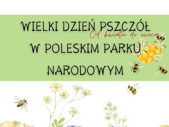 Poleski Park Narodowy organizuje edukacyjne zajęcia o roli pszczół