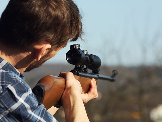 Polowania zbiorowe wstrzymane