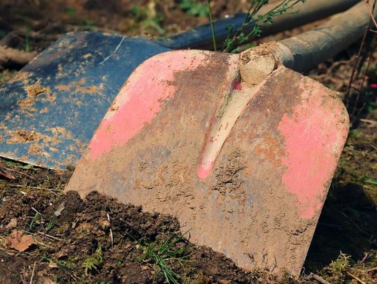 Poszukiwacze skarbów wyruszyli w teren