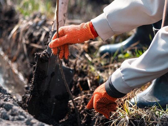 Pow. krasnostawski. Interwencja radnego i szybka reakcja służb drogowych