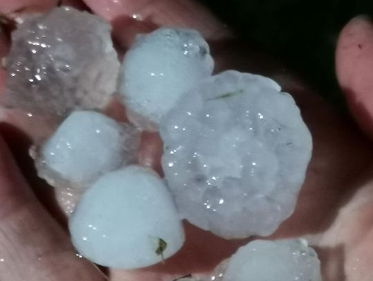 Nawałnica w powiecie krasnostawskim. Spadł grad wielkości piłeczek pingpongowych [GALERIA ZDJĘĆ]