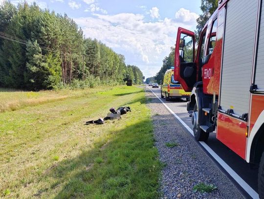 Pow. włodawski. Rowerzystka zderzyła się z osobówką. Motocyklista koziołkował