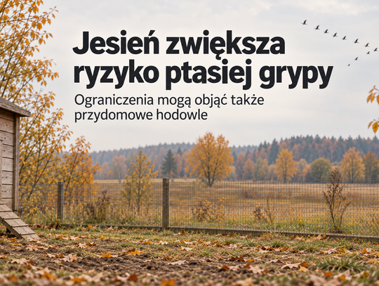 Powiat włodawski. Jesień zwiększa ryzyko ptasiej grypy
