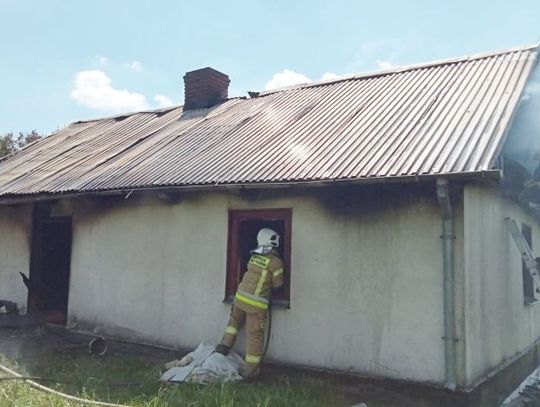 Pożar domu w Borowicy. Wypadek w Zalesiu [ZDJĘCIA]