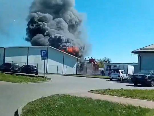 Pożar w chełmskim Bieluchu. Akcja strażaków na terenie zakładu [FILM]