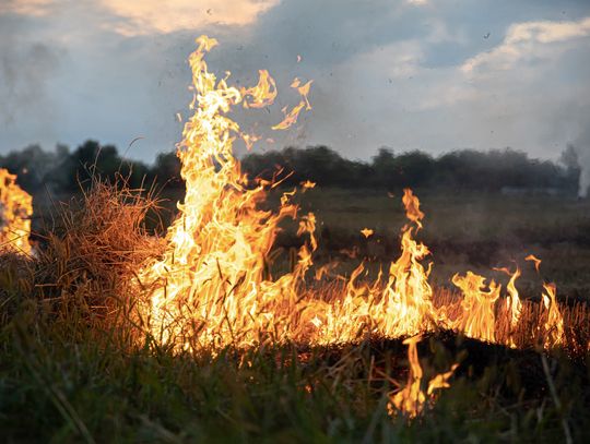 Pożar w Jazikowie. Żywioł opanował ponad hektar terenu