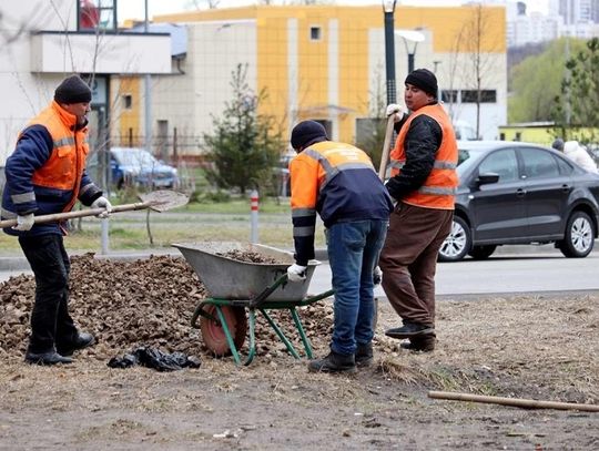 Praca na czarno. Nie będzie kary, jak pracownik doniesie na szefa