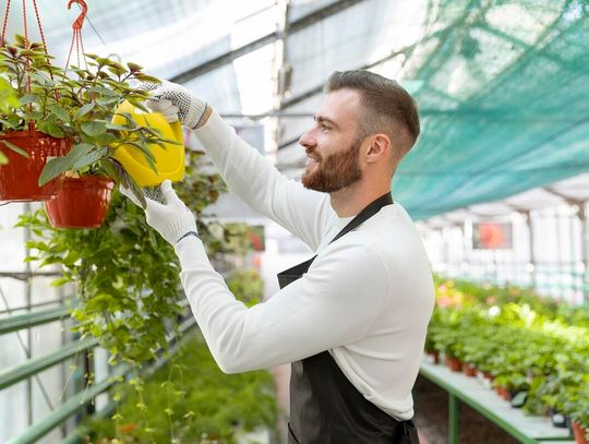 Pracowników w tych zawodach poszukują w Chełmie i okolicach (11-12-25).