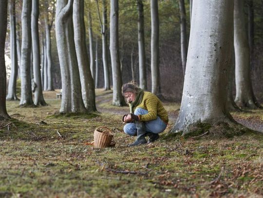 Przeczytaj, zanim wybierzesz się do lasu. Coraz więcej zgłoszeń