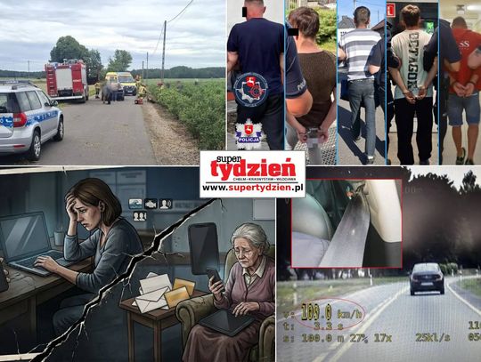 Przegląd informacji z 11 czerwca 2026. Chełm, Krasnystaw, Włodawa