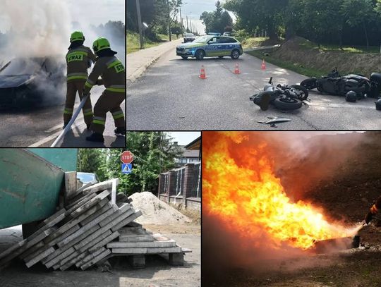 Przegląd informacji z 12 czerwca 2025. Chełm, Krasnystaw, Włodawa