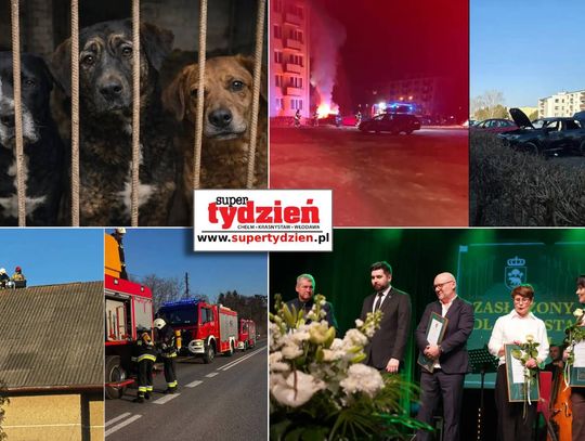 Przegląd informacji z 14 marca 2026. Chełm, Krasnystaw, Włodawa