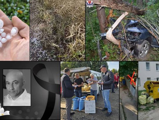 Przegląd informacji z 15 lipca 2025. Chełm, Krasnystaw, Włodawa