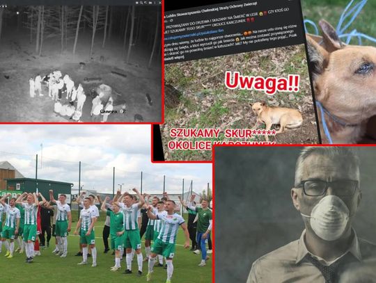 Przegląd informacji z 19 kwietnia 2025. Chełm, Krasnystaw, Włodawa