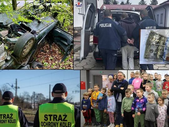 Przegląd informacji z 19 maja 2025. Chełm, Krasnystaw, Włodawa