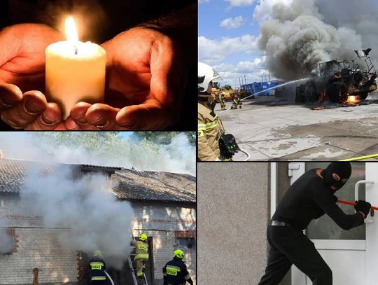 Przegląd informacji z 22 czerwca 2025. Chełm, Krasnystaw, Włodawa