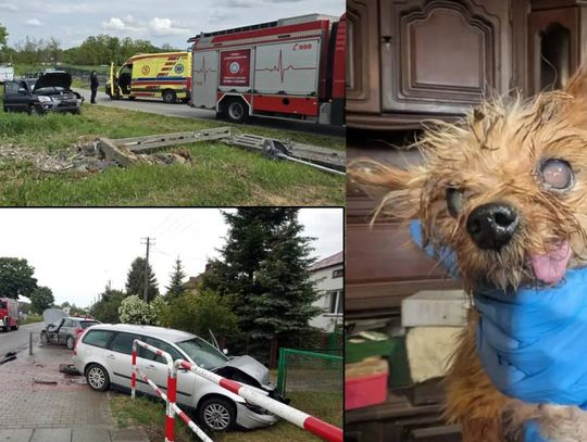 Przegląd informacji z 22 maja 2025. Chełm, Krasnystaw, Włodawa