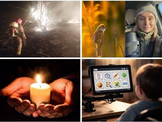 Przegląd informacji z 22 marca 2026. Chełm, Krasnystaw, Włodawa