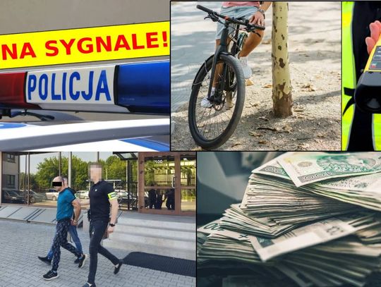 Przegląd informacji z 23 czerwca 2025. Chełm, Krasnystaw, Włodawa