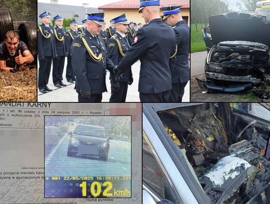 Przegląd informacji z 23 maja 2025. Chełm, Krasnystaw, Włodawa