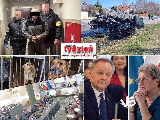 Przegląd informacji z 23 stycznia 2026. Chełm, Krasnystaw, Włodawa