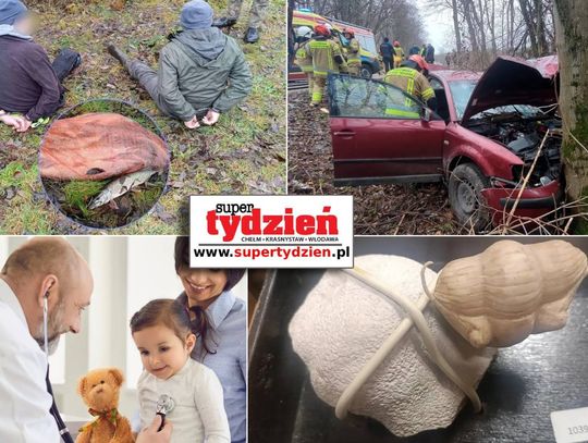 Przegląd informacji z 29 listopada 2025. Chełm, Krasnystaw, Włodawa