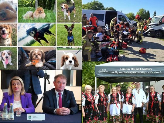 Przegląd informacji z 3 lipca 2025. Chełm, Krasnystaw, Włodawa