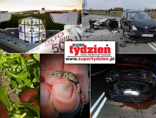 Przegląd informacji z 3 listopada 2025. Chełm, Krasnystaw, Włodawa