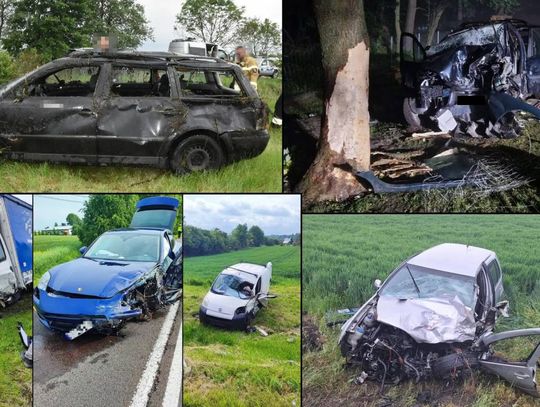 Przegląd informacji z 4 czerwca 2025. Chełm, Krasnystaw, Włodawa