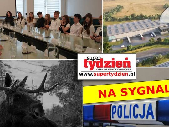Przegląd informacji z 4 września 2025. Chełm, Krasnystaw, Włodawa