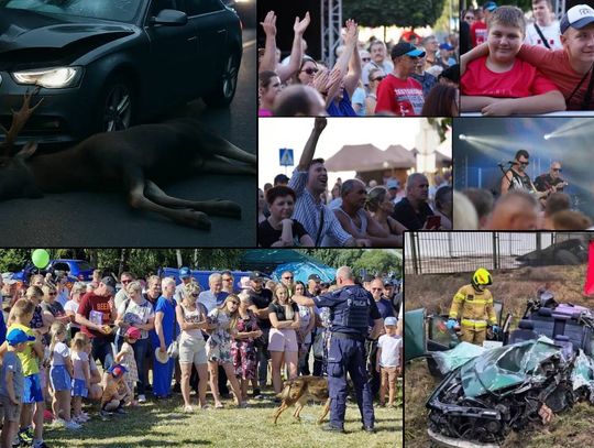 Przegląd informacji z 5 lipca 2025. Chełm, Krasnystaw, Włodawa