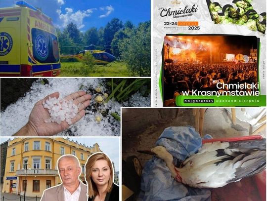 Przegląd informacji z 5 sierpnia 2025. Chełm, Krasnystaw, Włodawa