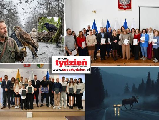 Przegląd informacji z 6 marca 2026. Chełm, Krasnystaw, Włodawa