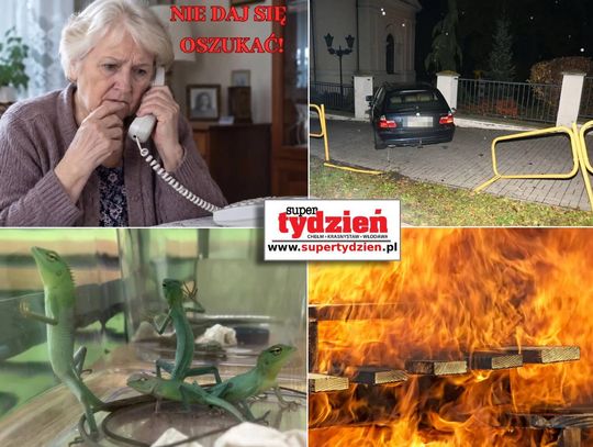 Przegląd informacji z 28 października 2026. Chełm, Krasnystaw, Włodawa