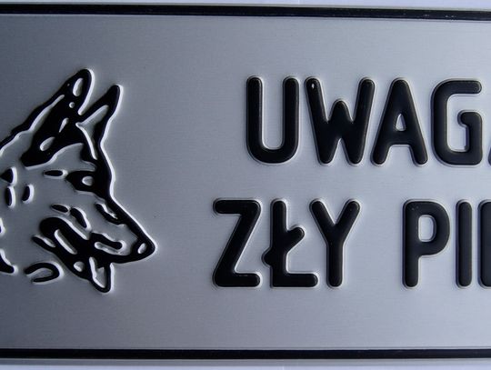 Przepraszam, czy tu gryzą?