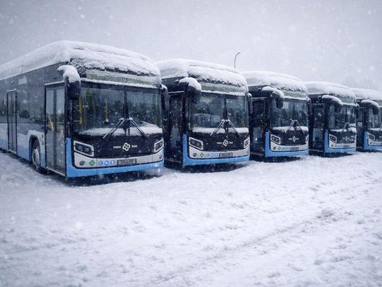 "Przepraszam nie zagrzeje". Mroźny test wodorowej komunikacji w Chełmie Ostatnie awarie wodorowych autobusów ujawniły słabości systemu komunikacji miejskiej w warunkach silnych mrozów oraz brak skutecznych rozwiązań awaryjnych.
